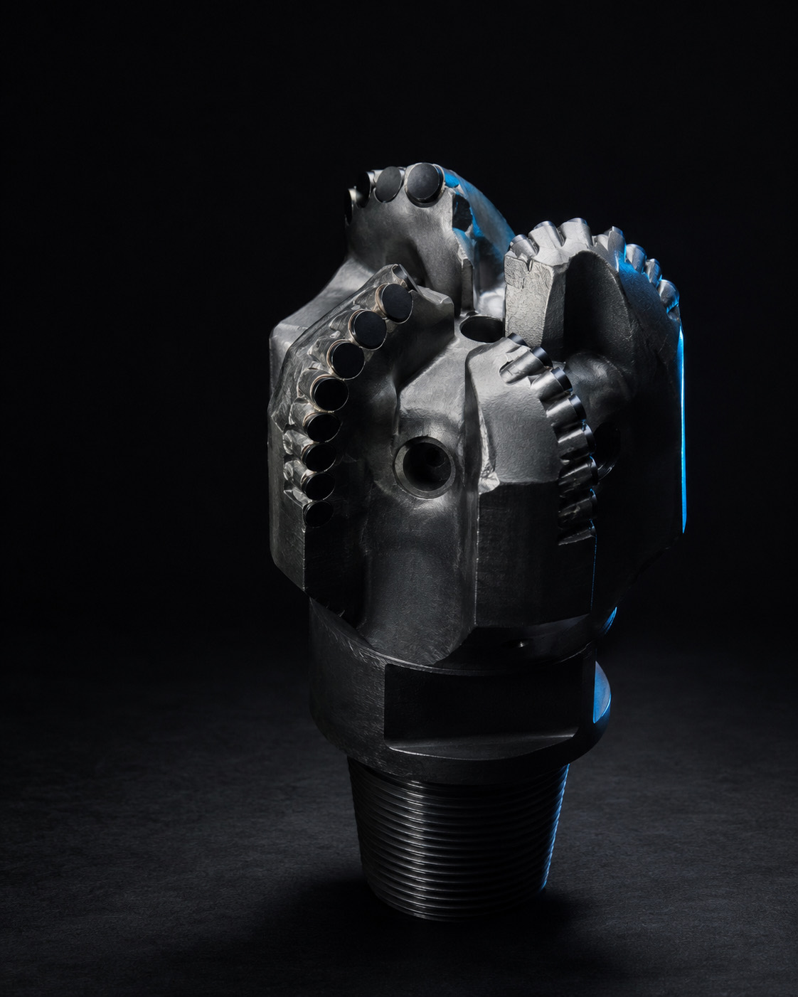 PDC drill bit portrait